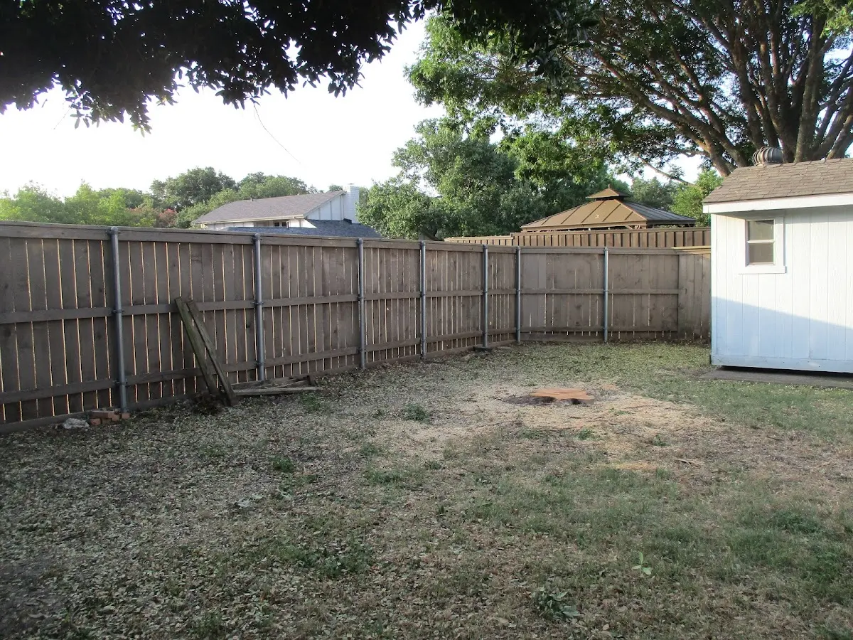 Cleared yard after professional tree removal in Mirror Lake